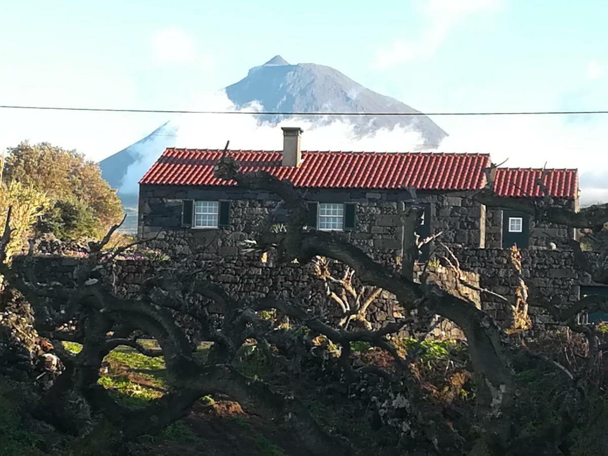 A Casa Da Formosinha Villa Madalena  Buitenkant foto